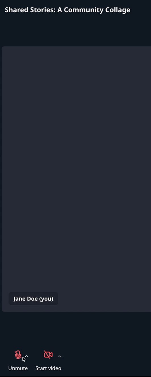 Choose microphone and speaker.gif